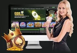 Casino-style game categories available on p222 platform for Philippines members
